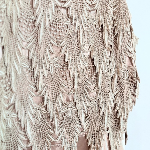 Vintage Bronze Mini Dress w Gorgeous Fringed Lace & Tiered Ruffle Skirt - Picture 5 of 15